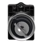 Comutador 22mm Com Chave 2 Pos. Fixas 2na Schneider Xa2eg43 600v