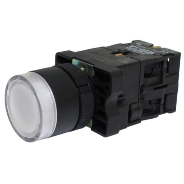 BOT PULSO ILUMIN.22MM PLAST LED BR 220VCA 1NA SCHNEIDER